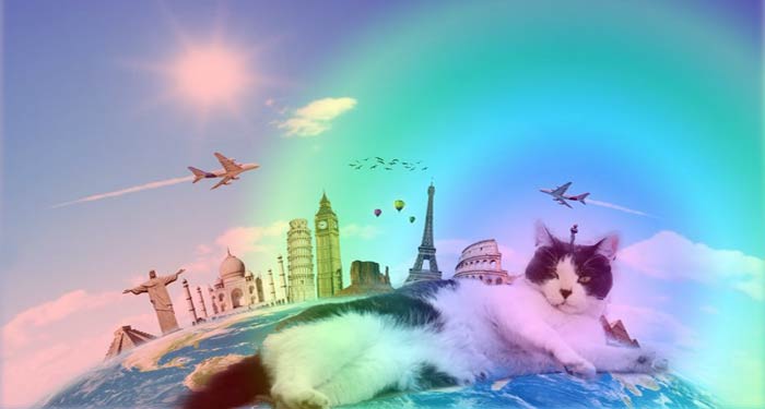 Кот лежит на глобусе земли, возле города, над ним летят самолеты