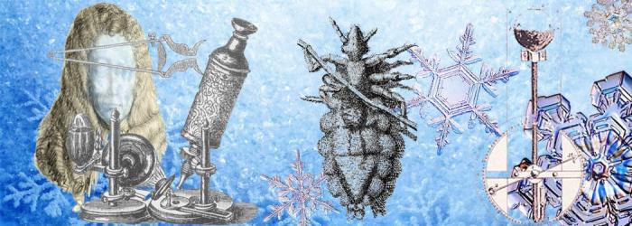 Роберт Гук: нет портрета, есть 500 открытий Роберт Гук: нет портрета, есть 500 открытий