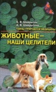 380965-covermid.jpg