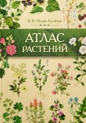 516545-covermid.jpg