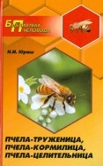 428961-covermid.jpg