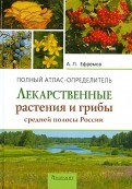 414479-covermid.jpg