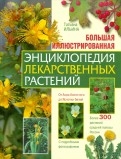 249233-covermid.jpg