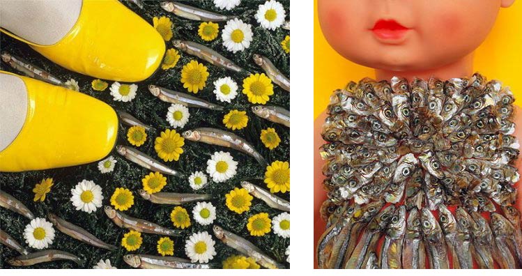 Девичьи грёзы - цветочки-ромашки и кильки Мелкие рыбки с головами и без на фоне лужайки и цветов и в украшении туловища куклы